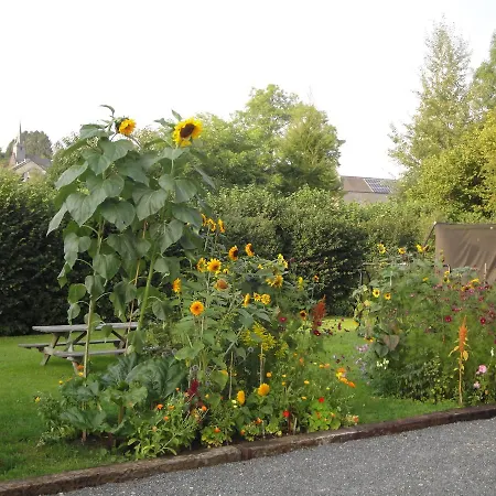 Bed & Breakfast Maison D'hotes La Lavandiere
